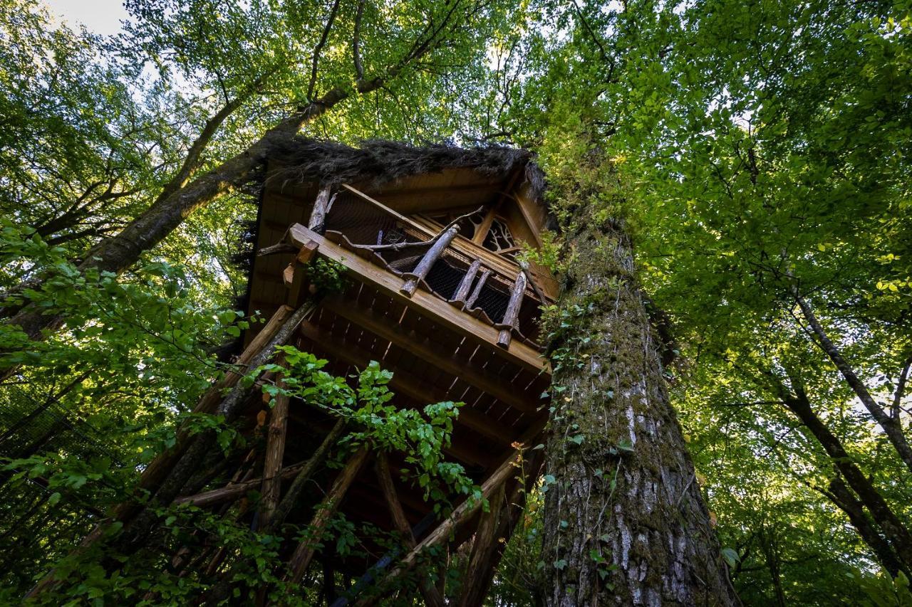 L'Arbre A Cabane Guyonvelle Екстериор снимка