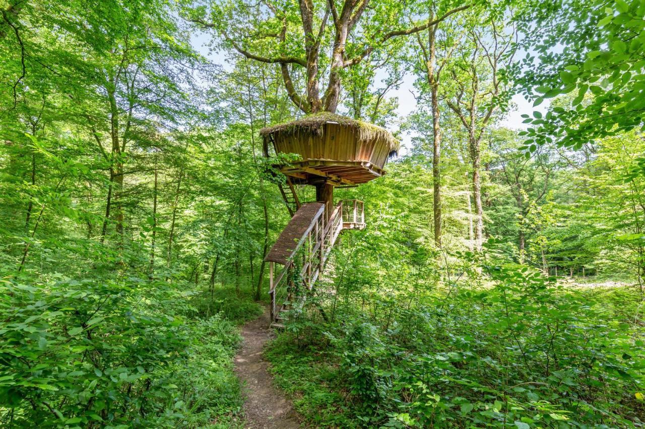 L'Arbre A Cabane Guyonvelle Екстериор снимка