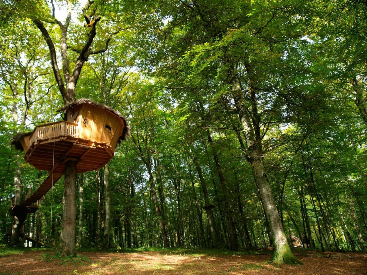 L'Arbre A Cabane Guyonvelle Екстериор снимка