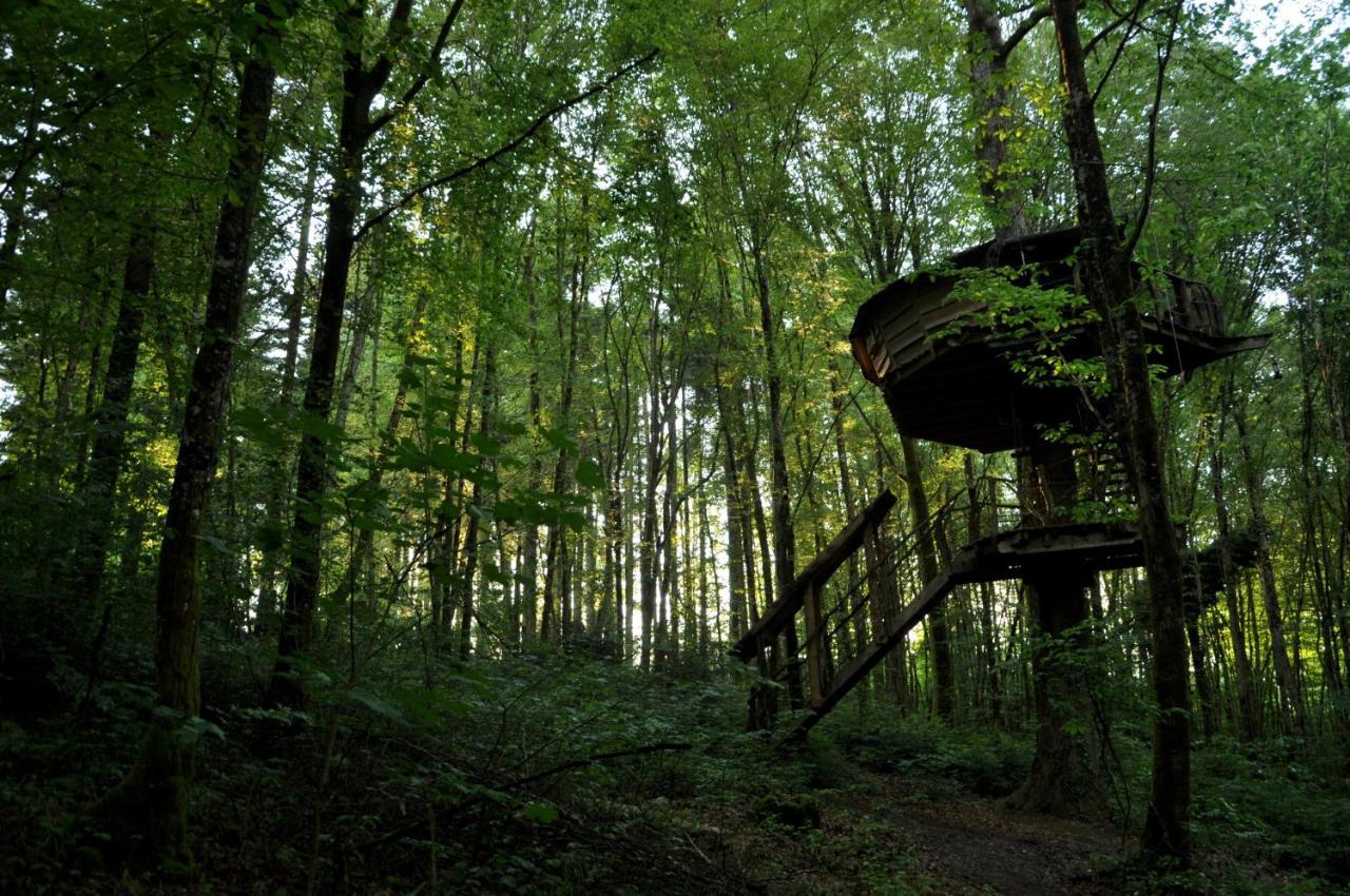 L'Arbre A Cabane Guyonvelle Екстериор снимка