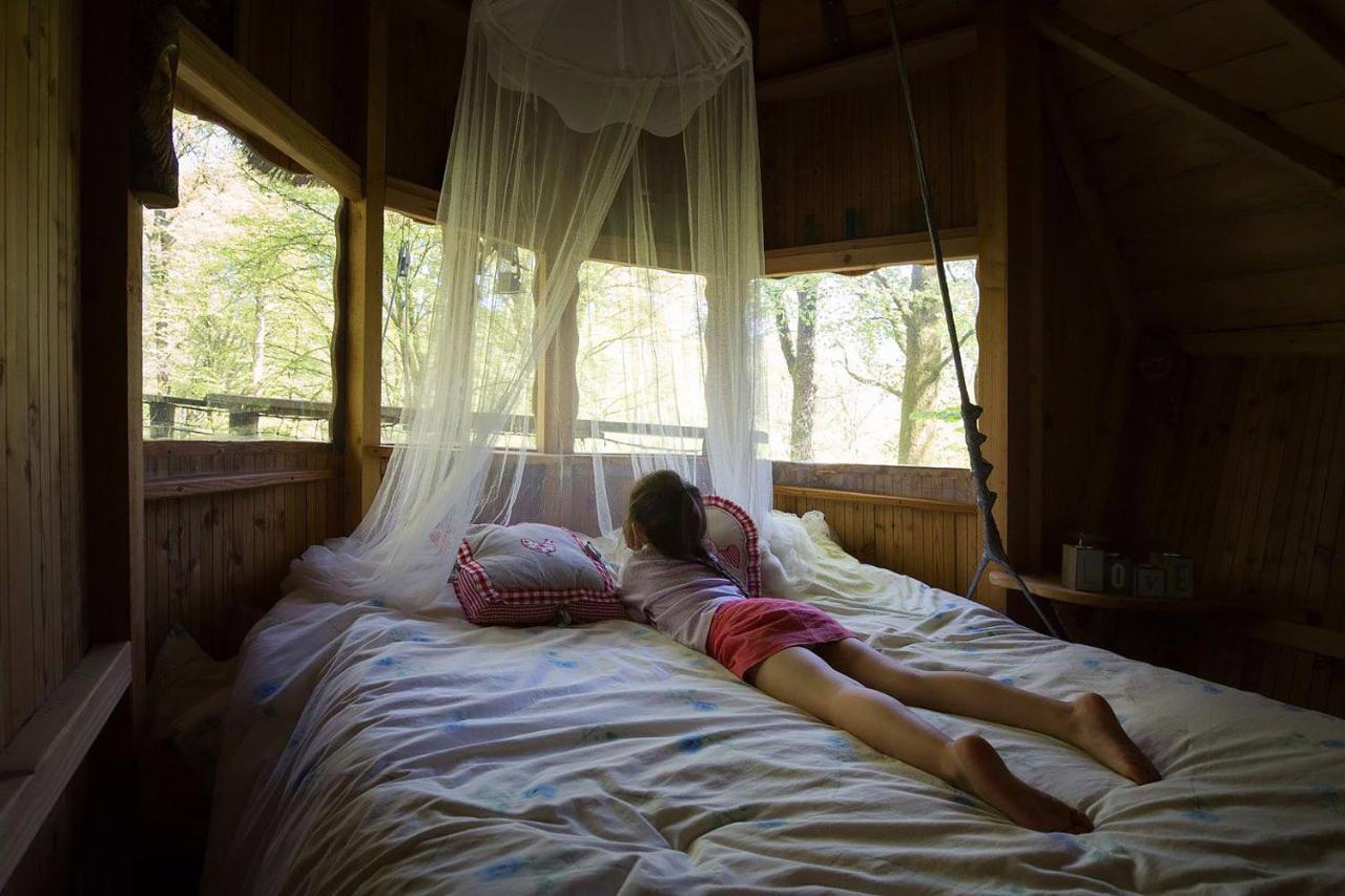L'Arbre A Cabane Guyonvelle Екстериор снимка
