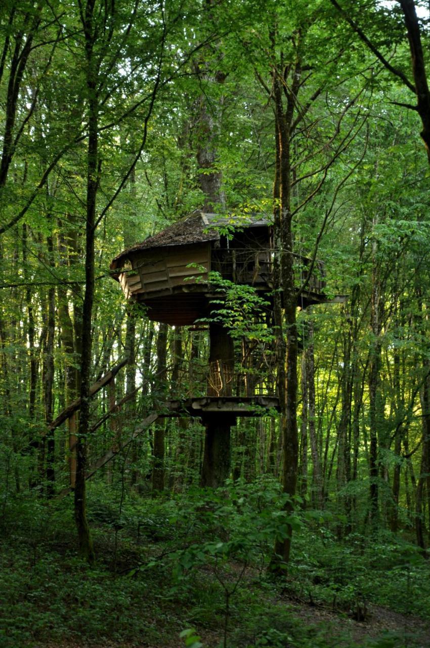 L'Arbre A Cabane Guyonvelle Екстериор снимка