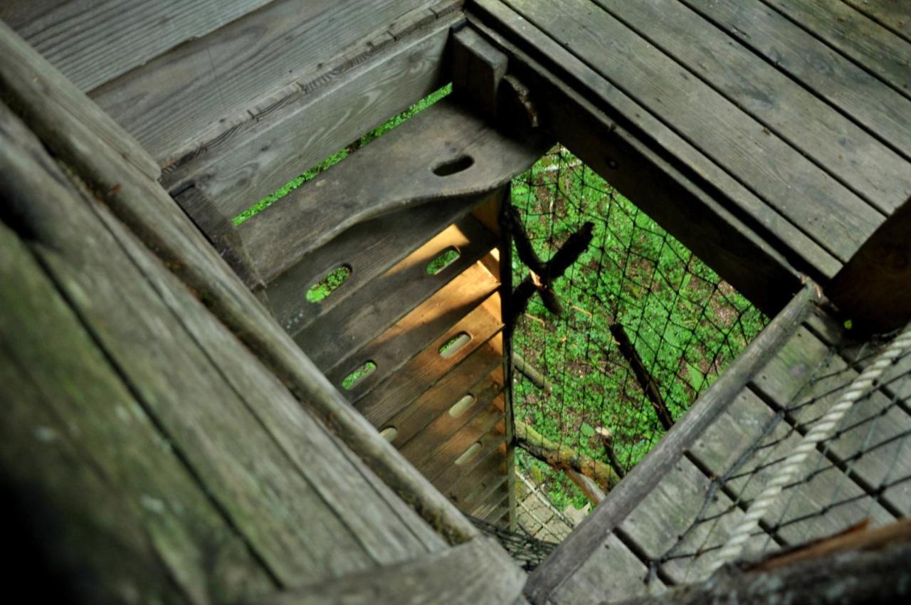 L'Arbre A Cabane Guyonvelle Екстериор снимка