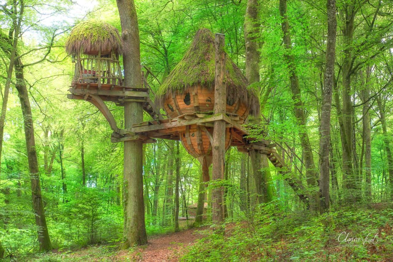 L'Arbre A Cabane Guyonvelle Екстериор снимка